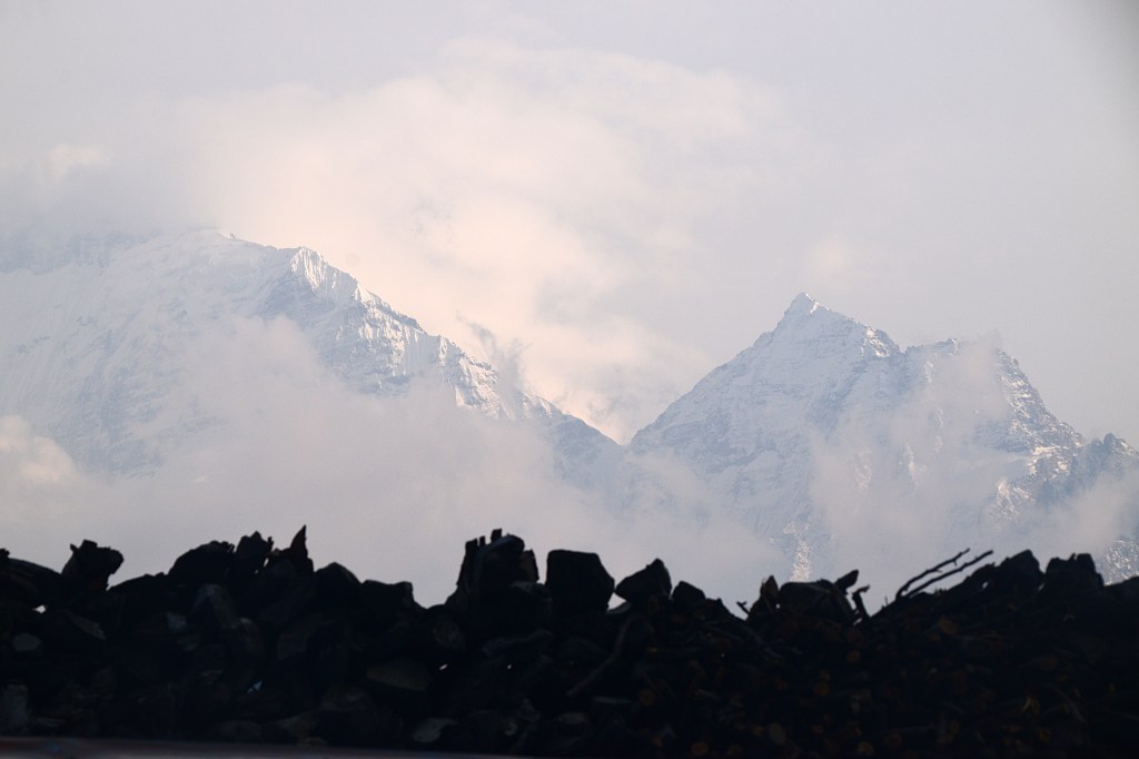 My Nesta Experience ￼